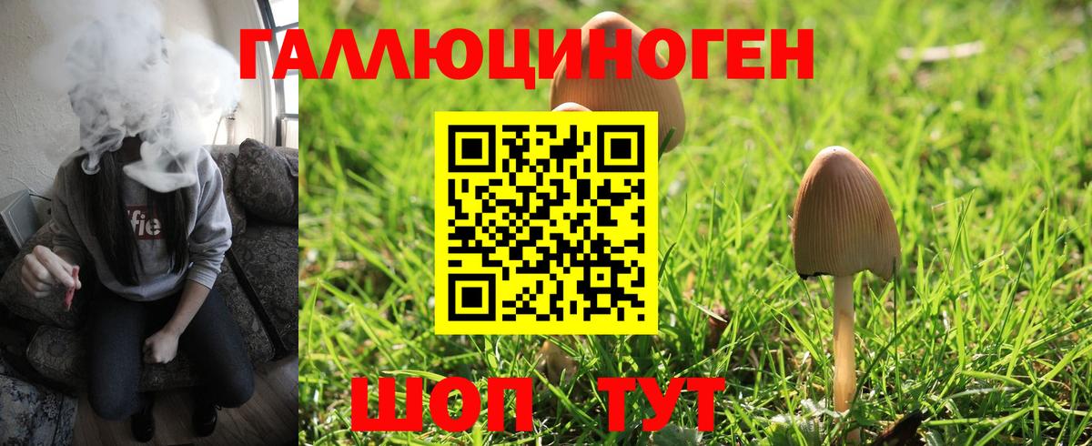 Галлюциногенные грибы Magic Shrooms  Псилоцибиновые грибы MAGIC MUSHROOMS  Майский  Вход с VPN 